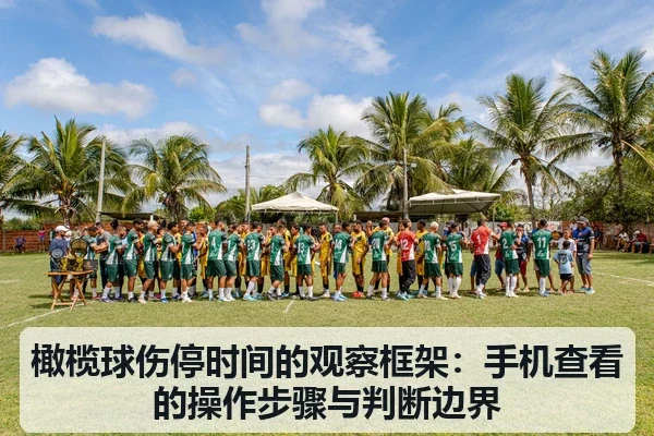 橄榄球伤停时间的观察框架:手机查看的操作步骤与判断边界